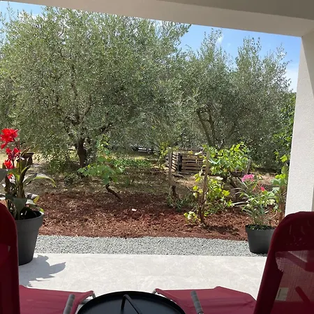 Stellar Apartament